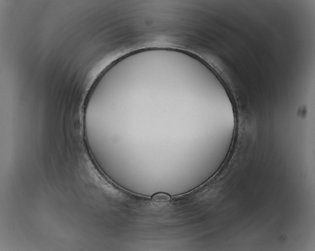 X0000111481238200907281155