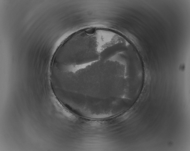 X0000111481240200907281155