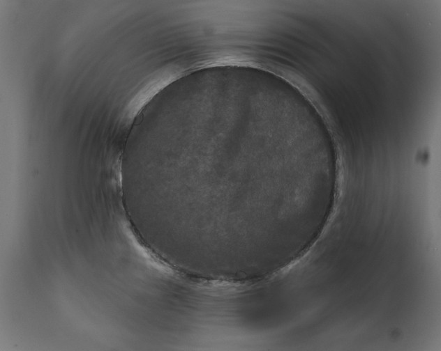 X0000111481241200907281155
