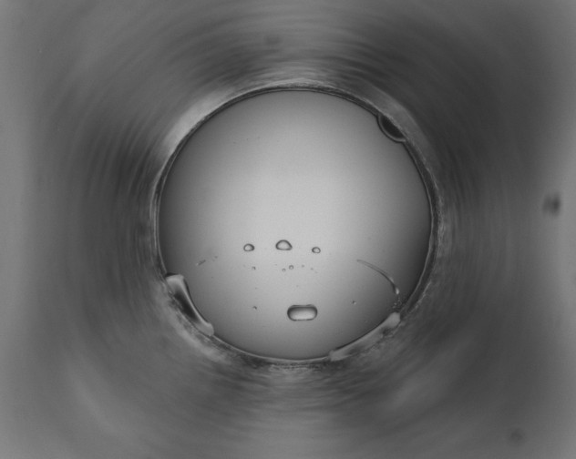 X0000111481242200907281155