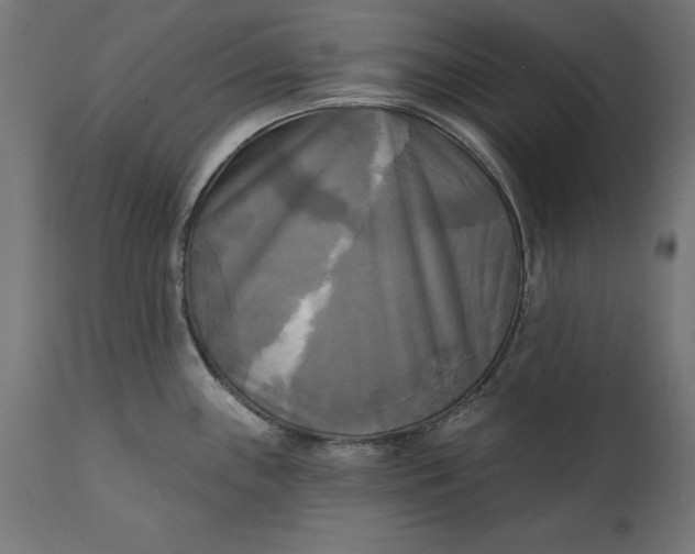 X0000111481243200907281155