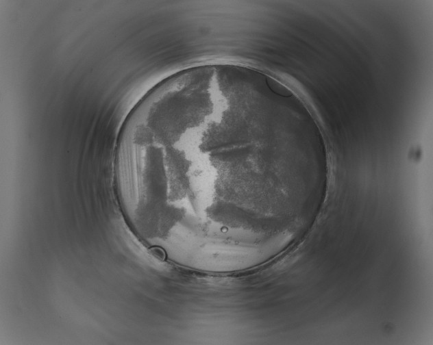 X0000111481244200907281155