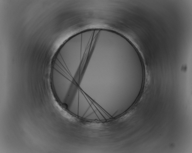 X0000111481245200907281155