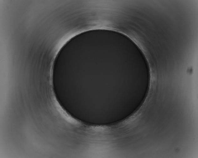 X0000111481246200907281155