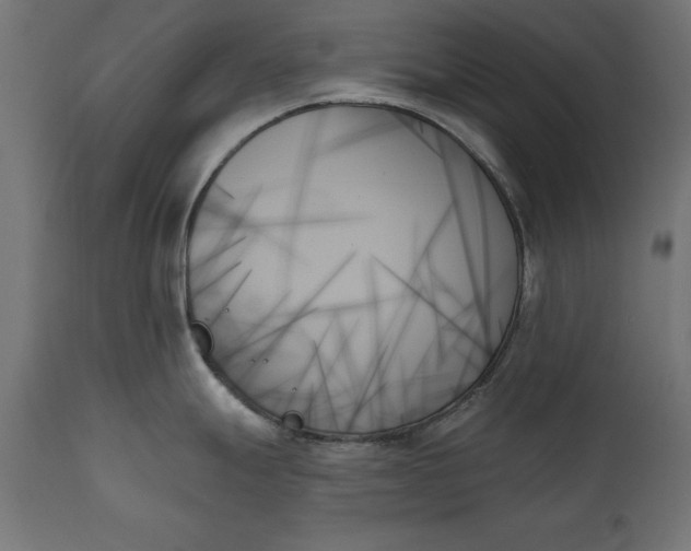 X0000111481247200907281155