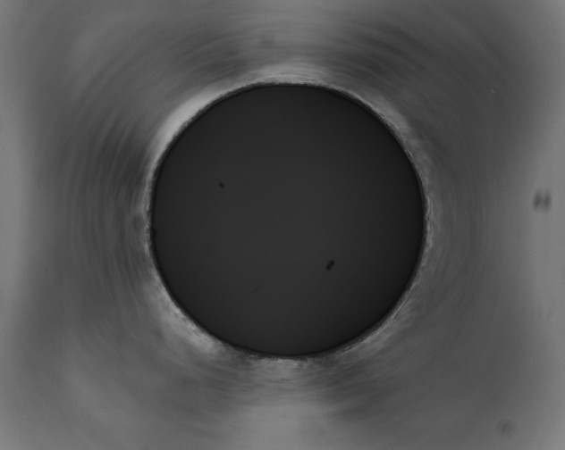 X0000111481248200907281155