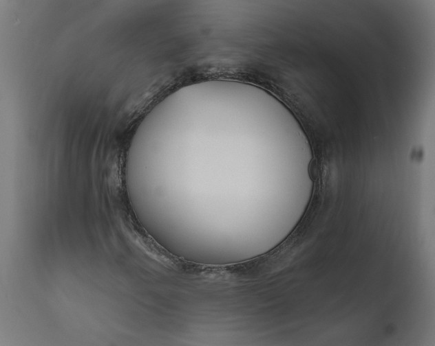 X0000111481250200907281154