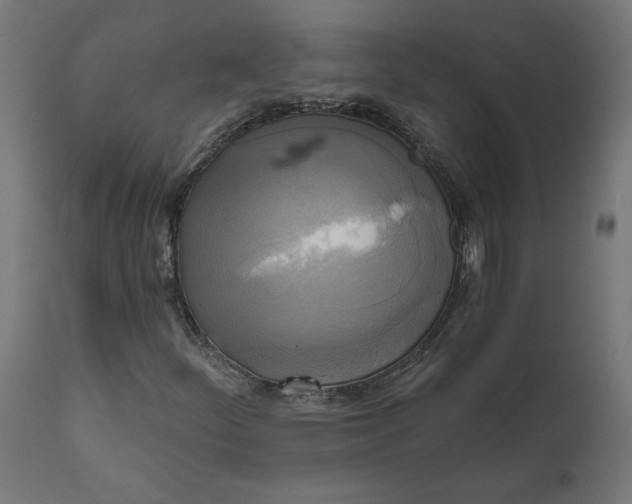X0000111481252200907281154