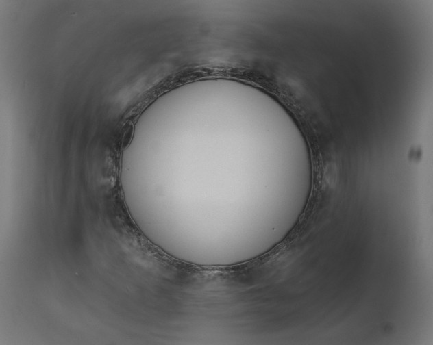 X0000111481253200907281154