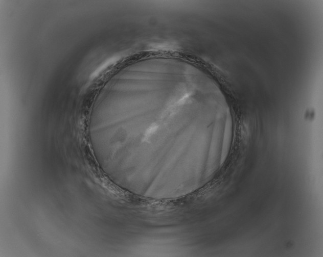 X0000111481254200907281154