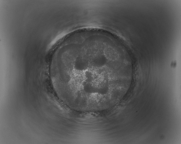 X0000111481255200907281154