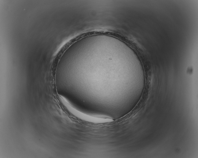 X0000111481256200907281154