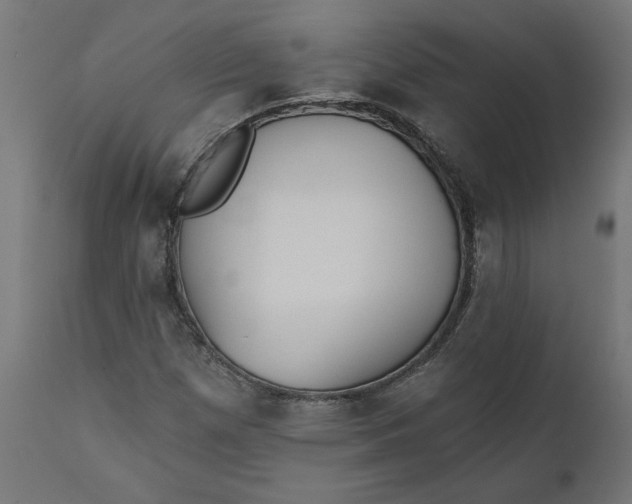 X0000111481257200907281154