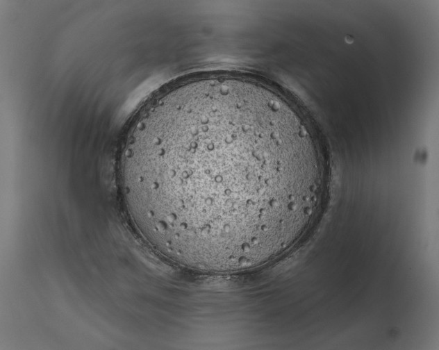 X0000111481259200907281154