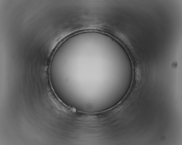 X0000111481260200907281154