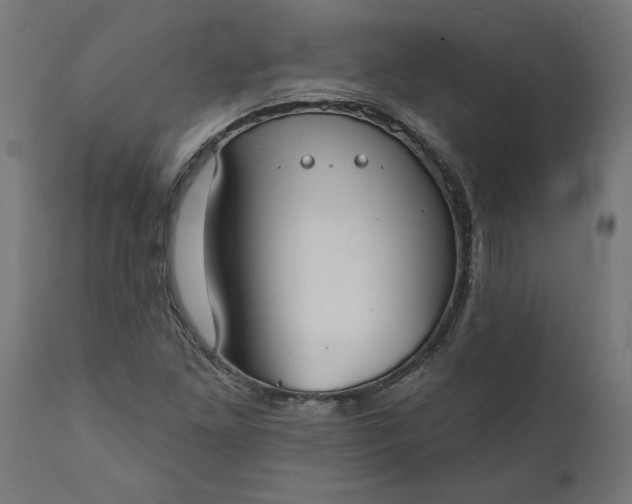 X0000111481261200907281154