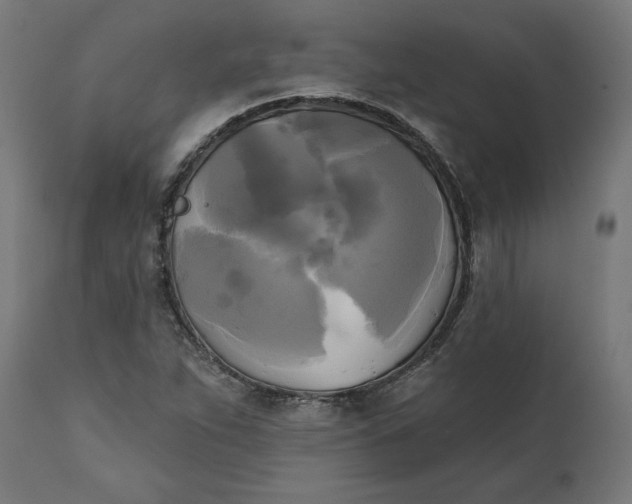 X0000111481263200907281154