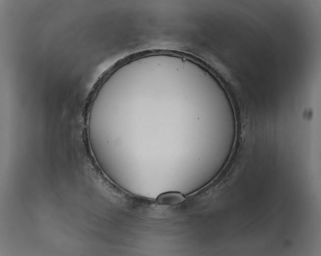 X0000111481264200907281154