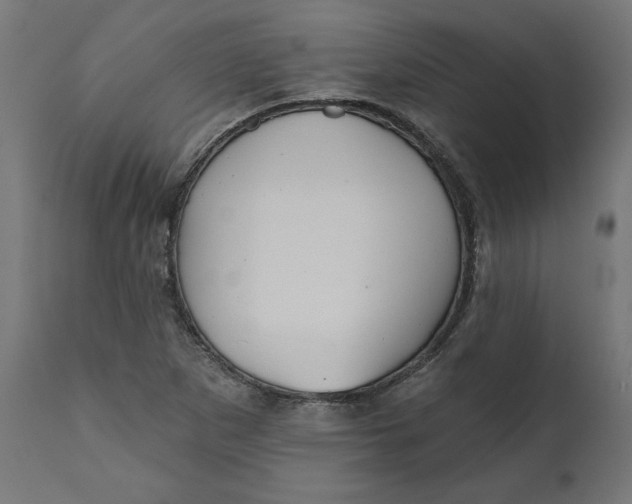 X0000111481265200907281154