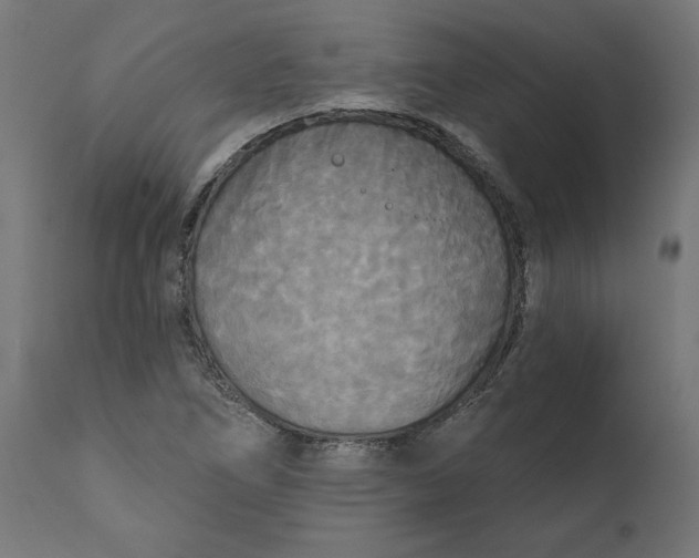 X0000111481266200907281154