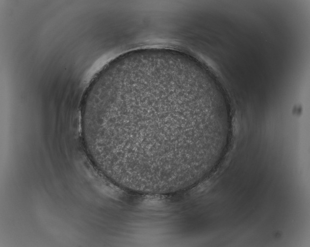 X0000111481267200907281154