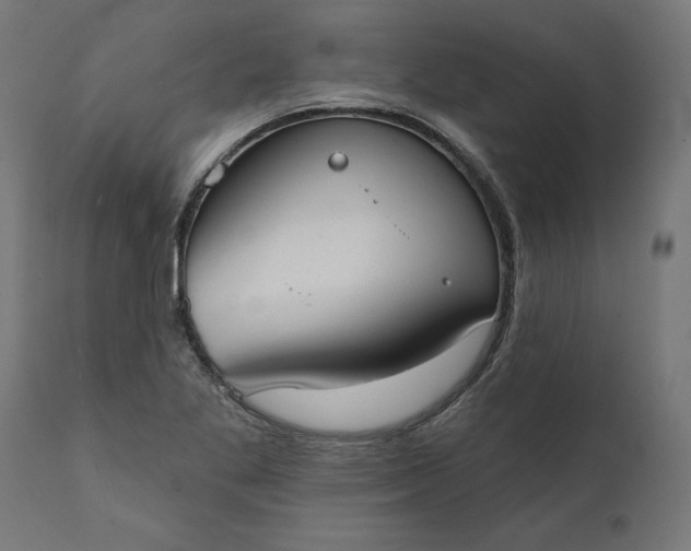 X0000111481269200907281154