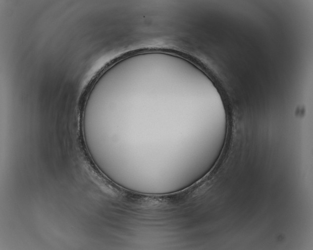 X0000111481270200907281154