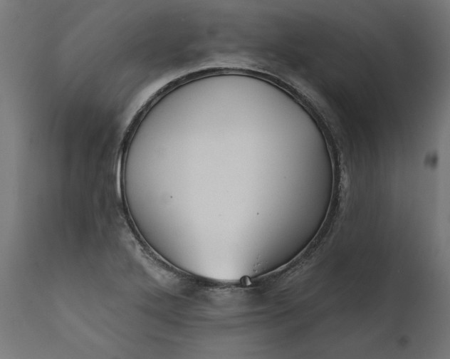 X0000111481272200907281154