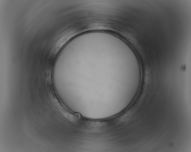 X0000111481273200907281154