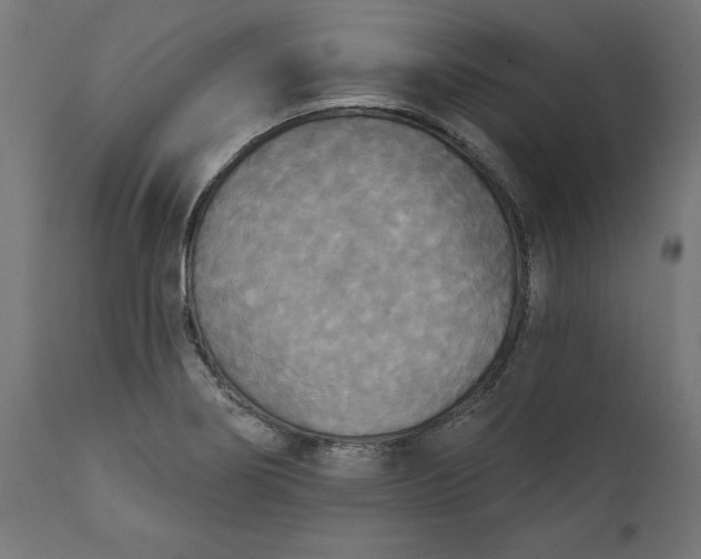 X0000111481274200907281154