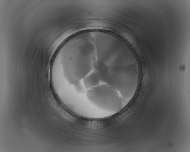 X0000111481275200907281154
