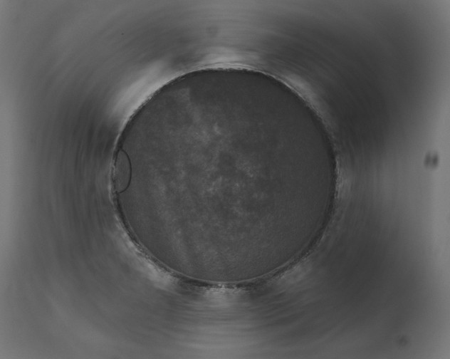 X0000111481277200907281154