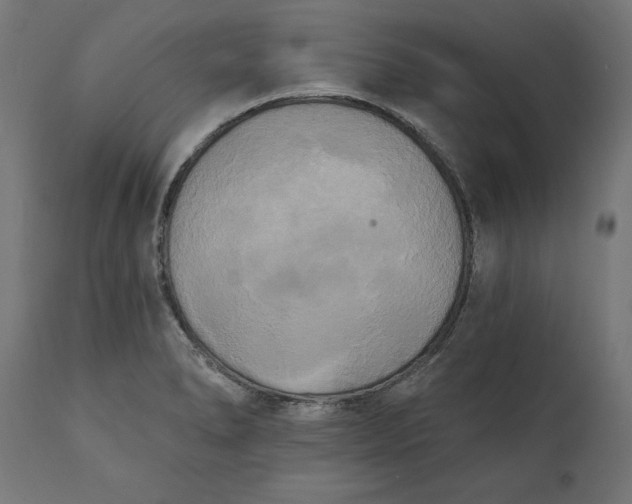X0000111481278200907281154