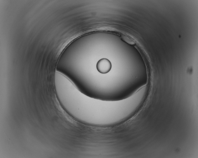 X0000111481281200907281154