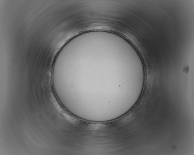 X0000111481282200907281154
