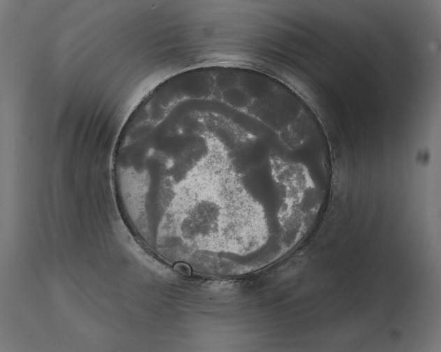 X0000111481283200907281154
