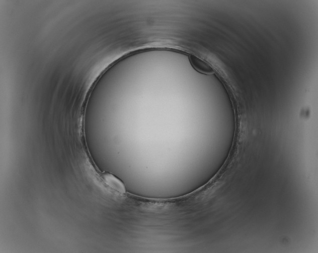 X0000111481284200907281154