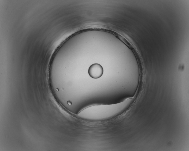 X0000111481285200907281154