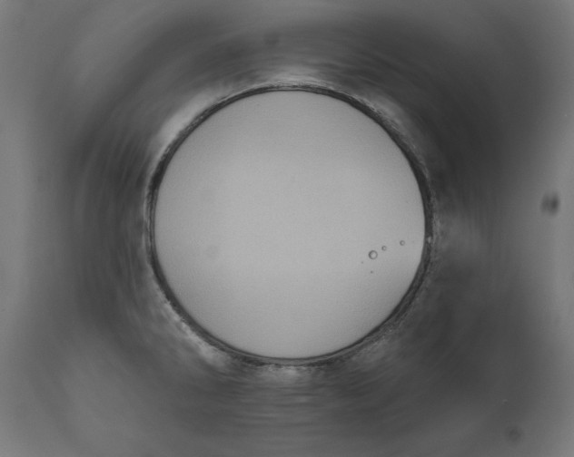 X0000111481286200907281154