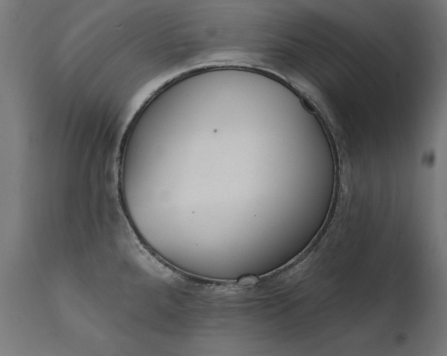 X0000111481288200907281154