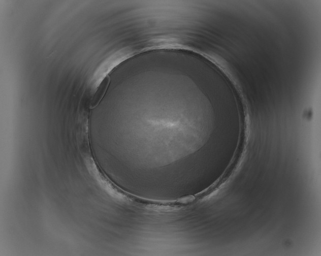 X0000111481289200907281154