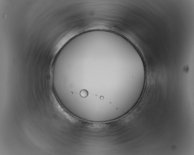 X0000111481290200907281154