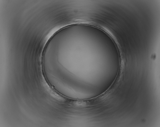 X0000111481291200907281154