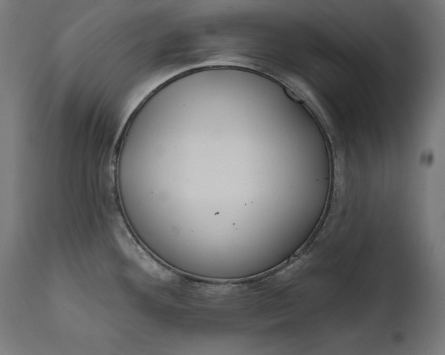 X0000111481292200907281154