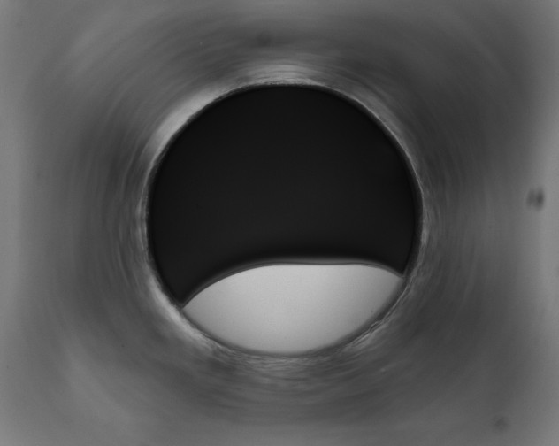 X0000111481293200907281154