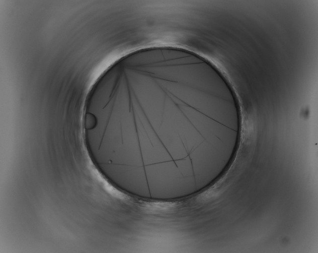 X0000111481294200907281154