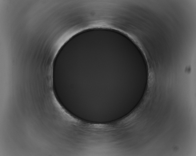 X0000111481295200907281154
