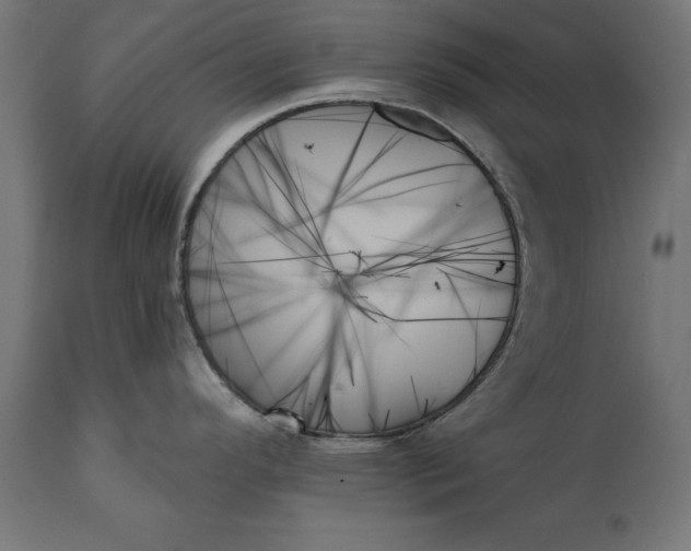 X0000111481296200907281154