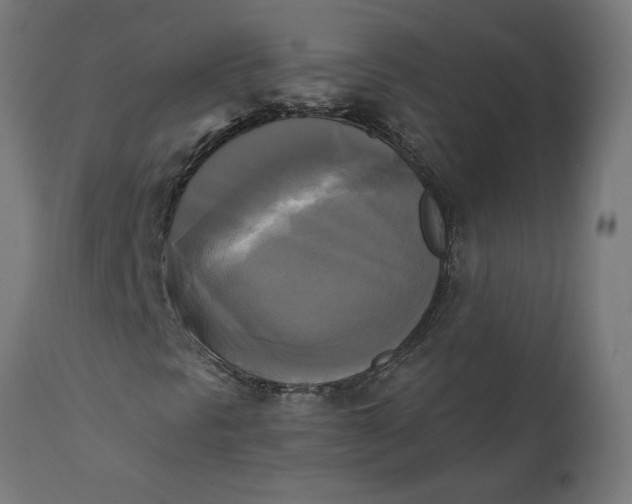 X0000111481297200907281153