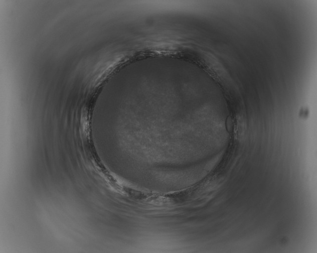 X0000111481298200907281153